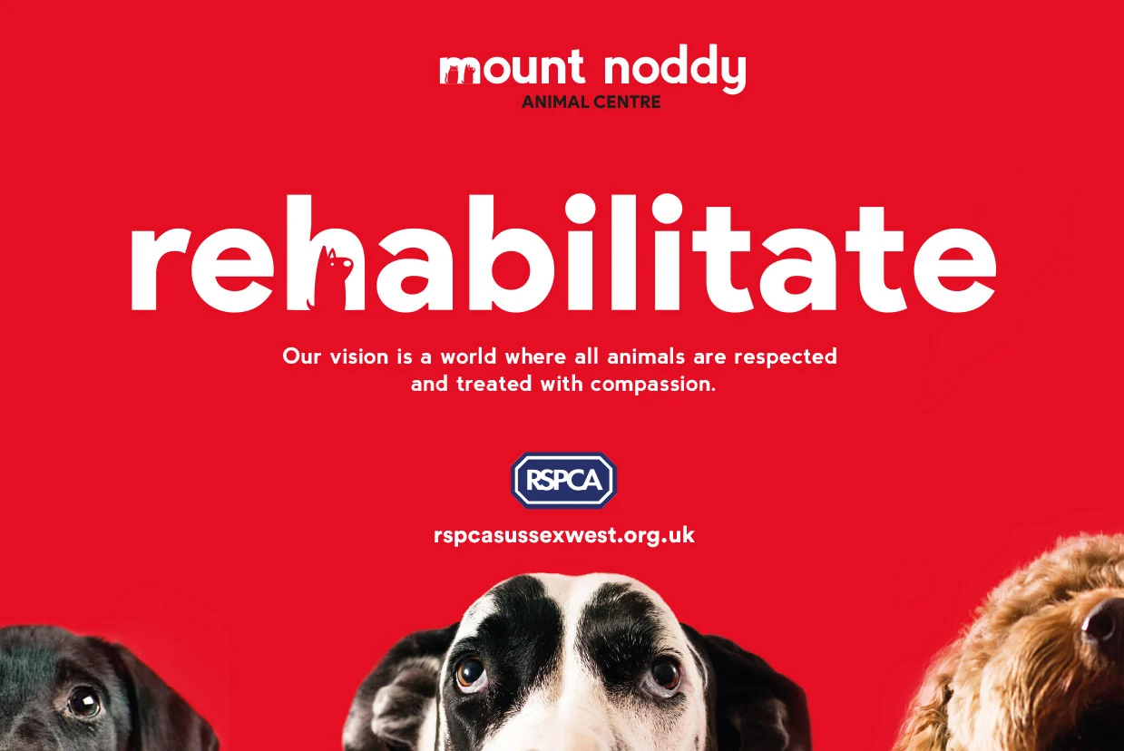 Red Mount Noddy rehabilitate campaign artwork featuring dogs