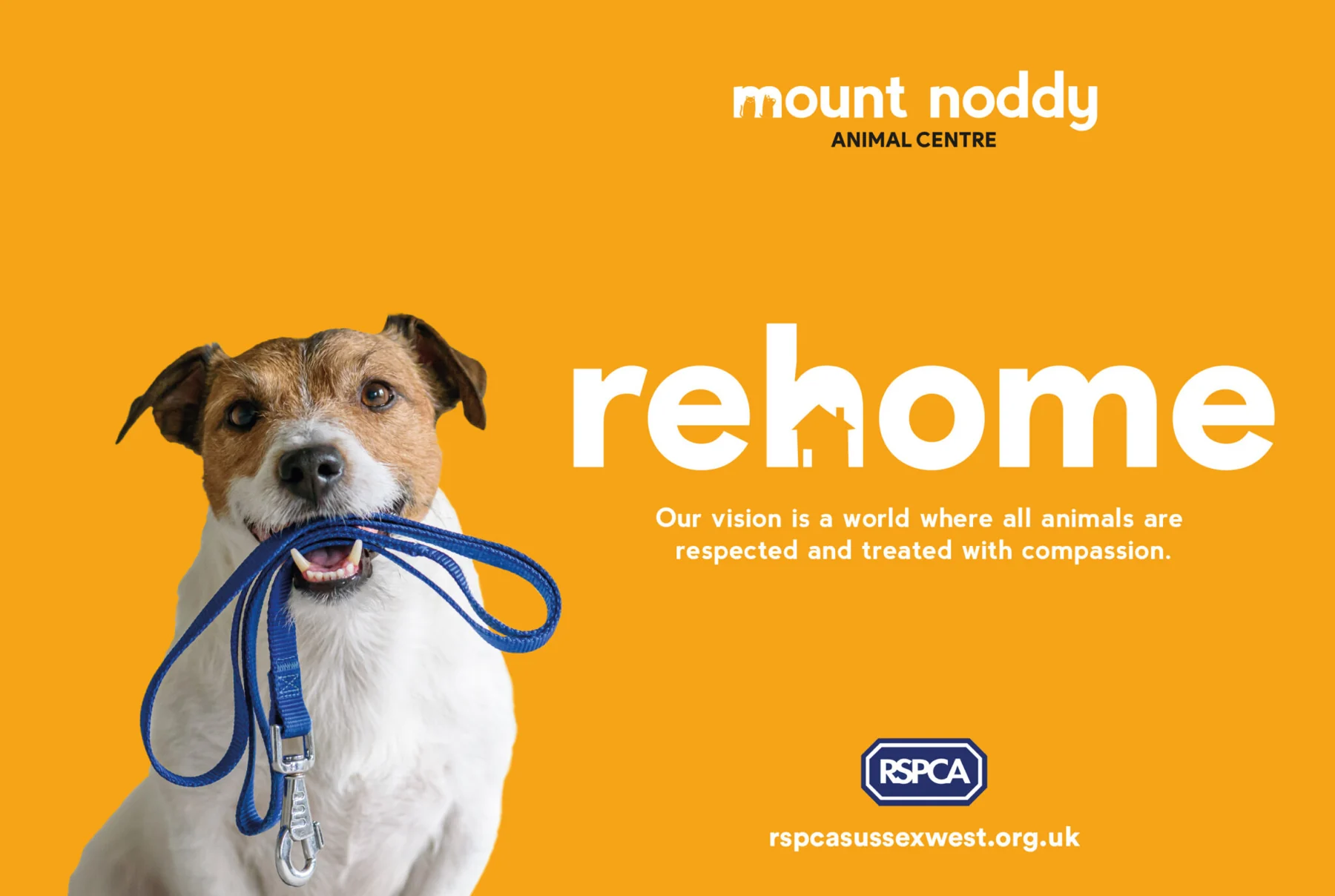 Orange Mount Noddy rehome campaign artwork featuring a dog holding a lead